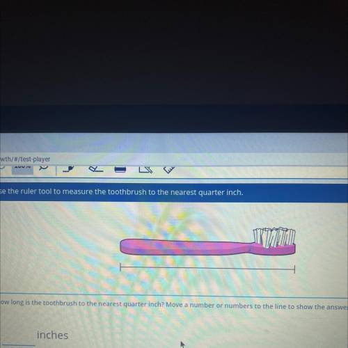 How long is the toothbrush to the nearest quarter inch ? Move a number or numbers to the line show