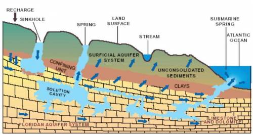 What is a spring?

A spring is a water resource formed when the side of a hill, a valley bottom or