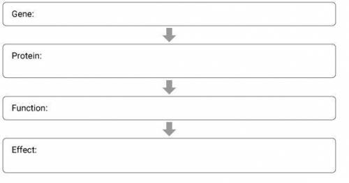 100 points, I need help filling this out.