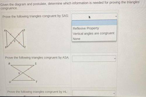 #7: Given the diagram and postulate, determine which information is needed for proving the triangle