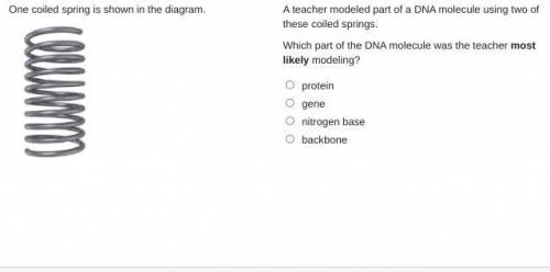 This a curriculum test