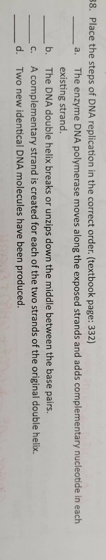 Place the steps of DNA replication in the correct order.