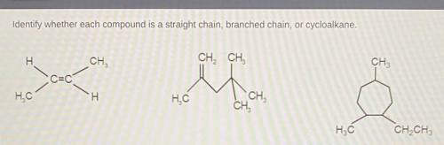 Identify whether each compound is a straight chain, branched chain, or cycloalkane.