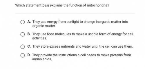 Which statement best explains the function of mitochondria?
