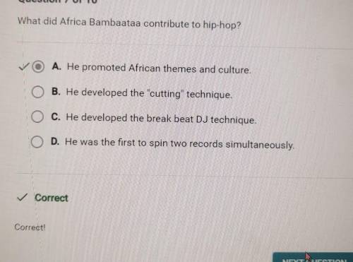 What did Africa Bambaataa contribute to hip-hop? A. He promoted African themes and culture, B. He d