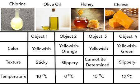 Jamie's teacher asked her to identify four different objects based on the properties in the chart.