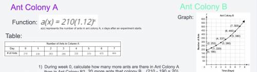 Ant Colony A: The function a(x) = 210(1.12)x represents the number of ants in Ant Colony A, x days