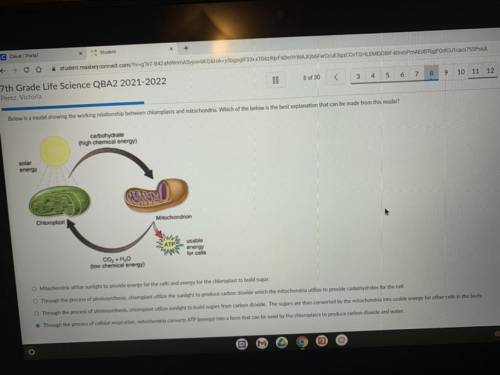 Below is a model showing the working relationship between chloroplasts and mitochondria. Which of t