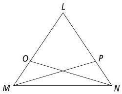 What is the common angle in LMP and LNO?
