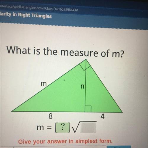 20 points + brain list please