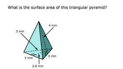 I need help with this question plz can someone help me ty a lot