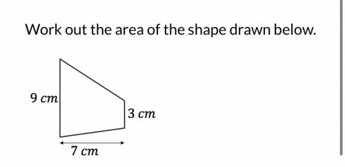 Work out the area of the shape drawn below