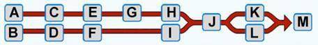 Which answer best describes the portion of the chart labeled M?

A. The president presents drafts