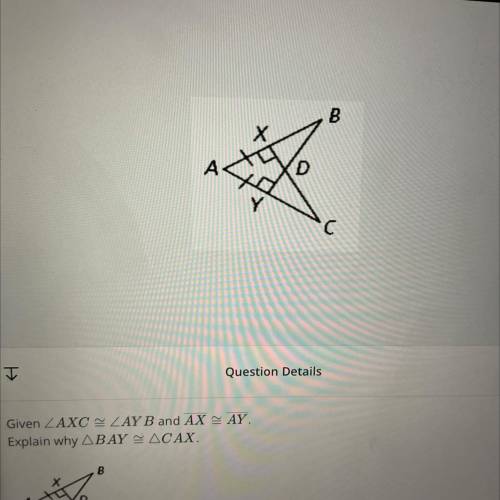 Please help! explain why angle BAY is congruent to angle CAX