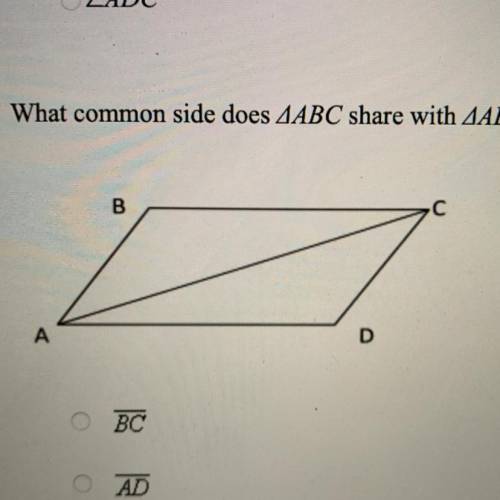 What common side does ΔABC share with ΔADC?
BC
AD
BD
AC