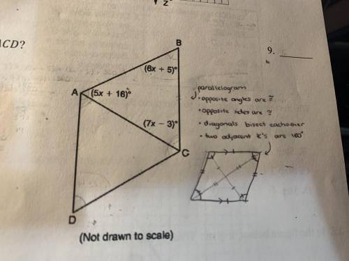 ABCD is a parallelogram. What is the measure of ∠ACD?