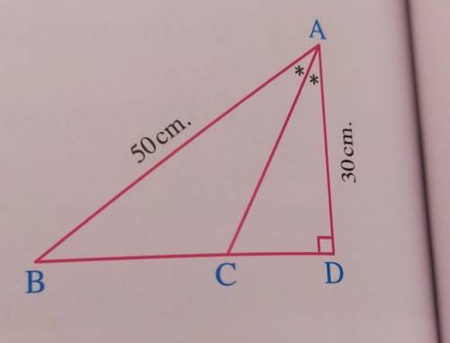 In the opposite figure : The perimeter of triangle ABC = ..... cm.

(a)123.5 (b) 375(c) 98.5(d) 10