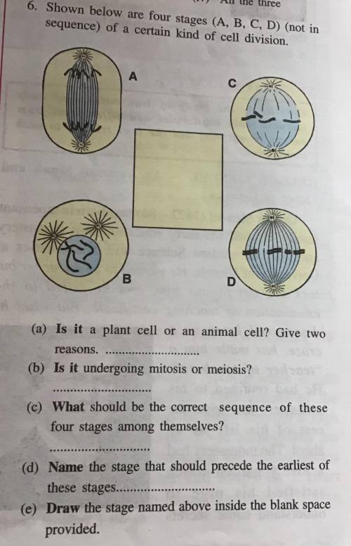 Shown below are 4 stages (A,B,C,D) (not in sequence) of a certain kind of cell division.