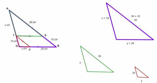 Pls help a little exercise on thales.

Using the letters in the diagram, write down the similar tri