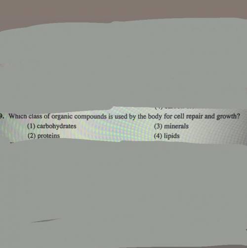 9. Which class of organic compounds is used by the body for cell repair and growth?

(1) carbohydr