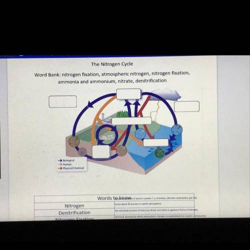 Cycle of matter, help pls