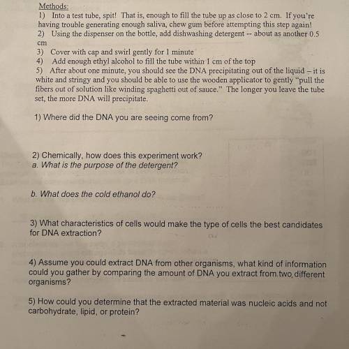 DNA Extraction Lab With Saliva. 
Need help answering questions 1-5.