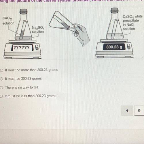 Using the picture of the closed system provided, what is the mass of the system before mixing?

A