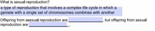 I need the blanks answered fast