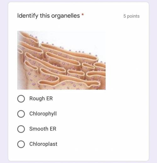 Identify this organelle
