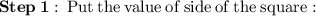 \bf \: Step  \: 1 : \rm \:  Put \:  the  \: value  \: of   \: side \:  of \:  the  \: square :