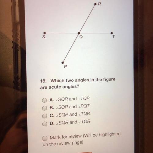 Which two angles in the figure are acute angles?