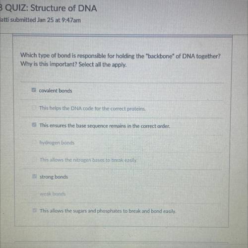 Which type of bond is responsible for holding the backbone of DNA together?

Why is this importa