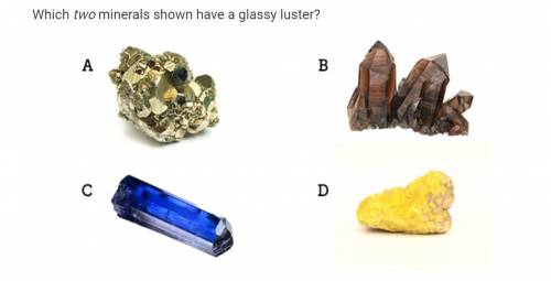 Which two minerals shown have a glassy luster?
