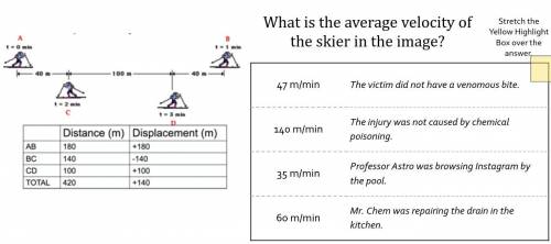 What is the average velocity of the skier in the image