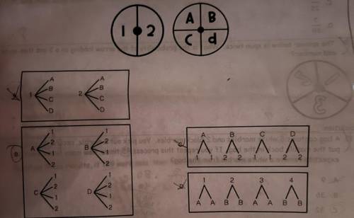 Each spinner shown below will be spun one time, which of the following tree diagrams shows all of