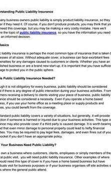 What is public liability and its expenditure. explain .