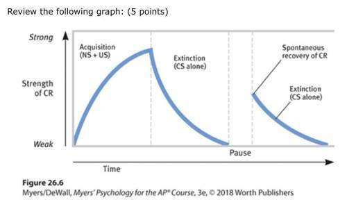 Which part of the graph shows the sudden reemergence of a response after it has weakened? (50 point