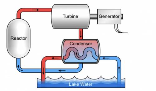 In nuclear power plants, atoms are split during fission reactions to produce an enormous amount of