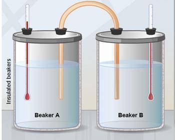 The two insulated beakers shown contain equal amounts of identical liquids. The temperature of Beak