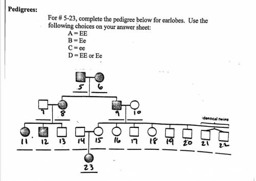 Question in screenshot, please send me the answer like

example:
1. A
2. A
3. B 
etc