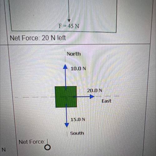 What is the net force???