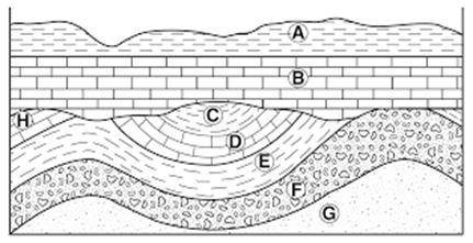 Column A. (4pts/.5 pts each) Order the layers from youngest to oldest. Write the letter for each la