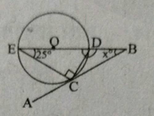 Please help ASAP  find value of x  please please