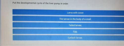 Help plsssscan you pls help me with it?