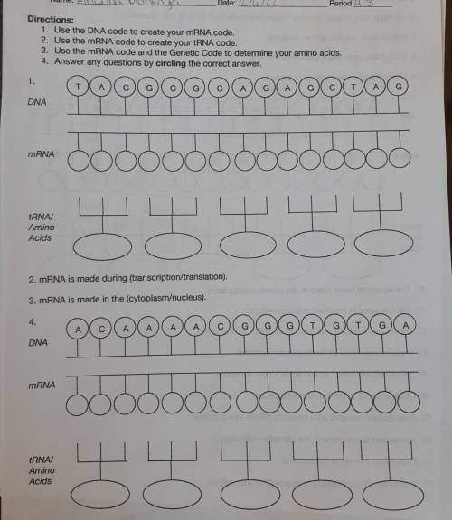 (50 points) pls help with the worksheet, I got a F in this class bro