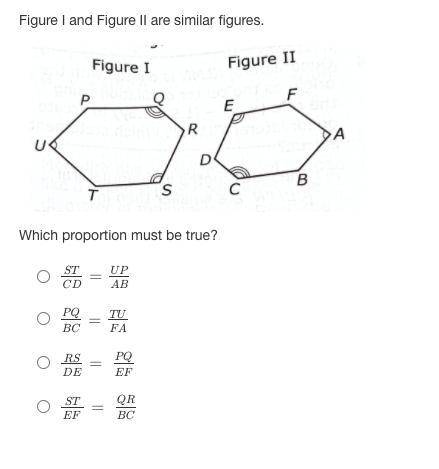 What is the right proportion?