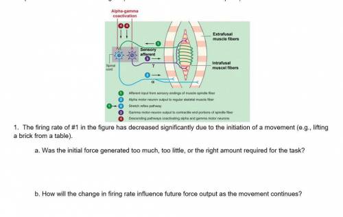 I need help with the questions on the picture.