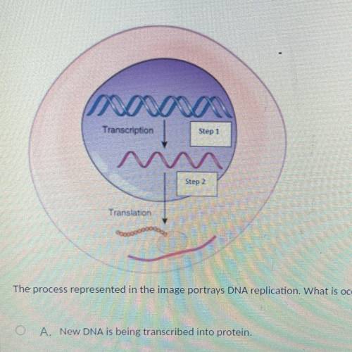 Va

Transcription
Step 1
Step 2
Translation
The process represented in the image portrays DNA repl