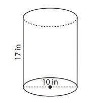 Find the surface area of the cylinder. Use 3.14 for pi. Do not round the answer.

690.8
224.5
364.