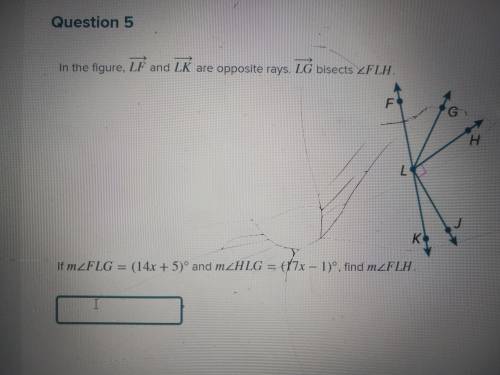 If m∠FLG=(14x+5)° and m∠HLG=(17x−1)° , find m∠FLH 
Help, please :(